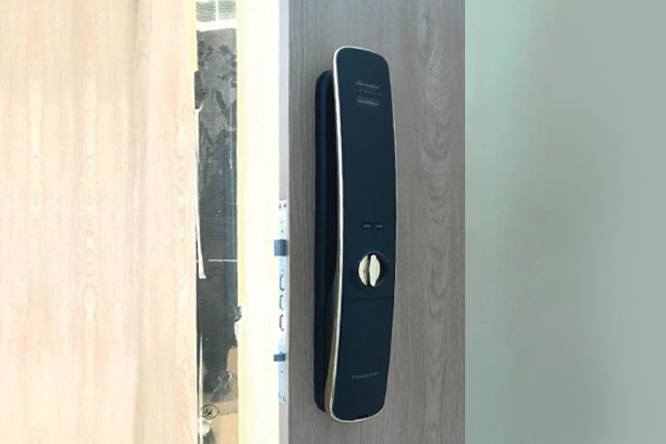 Smart Digital Locks - Door Handles