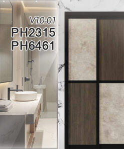 V10-01 PH2315 PH6461