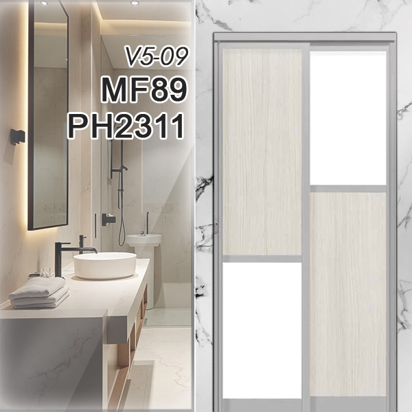 V5-09 MF89 PH2311