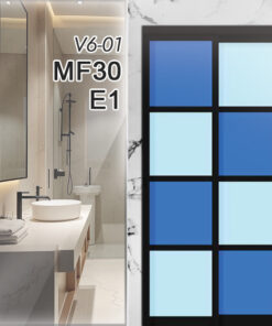 V6-01 MF30 E1
