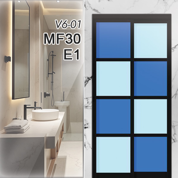 V6-01 MF30 E1