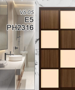 V6-05 E5 PH2316