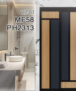 V7-01 MF58 PH2313