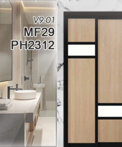 V9-01 MF29 PH2312