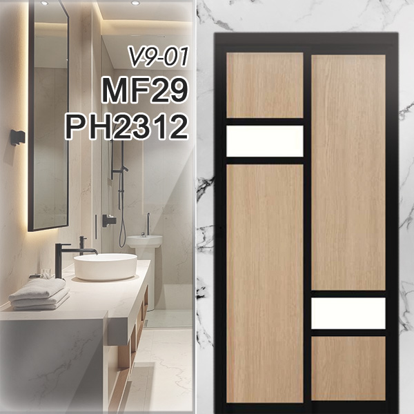 V9-01 MF29 PH2312